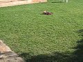 kyosho Off road automodelismo londrina inferno
