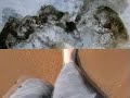 Oinak Uretan