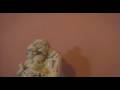 matemantramu song....MR....