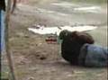 Teenager gets slammed into a tree  ) .....