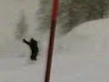 FUORIPISTA IN NEVE FRESCA. LUPO FUORIPISTA IN NEVE FRESCA. LUPO