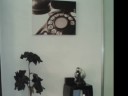 VIDEO WEB.wmv