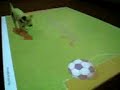 With slides teasing to puppy(?????????) With slides teasing to puppy(?????????)