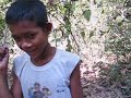 Cambodia, chasing wild cattle