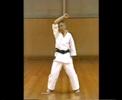 saitamatsu sensei basis blokken