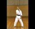 saitamatsu sensei basis blokken