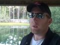 Bear Tree.wmv