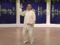 Tai chi 24 forms part 6 b - Tai Chi