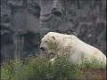 Önne Besuch im Zoo(m) Önne Besuch im Zoo(m)