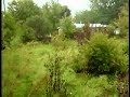 My Backyard