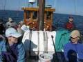 Click to View : Hochseeangeln ab Laboe 2008