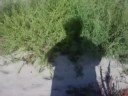Fehmarn
