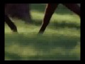 Seabiscuit - Never Far Behind