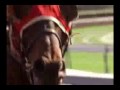 Seabiscuit - Never Far Behind