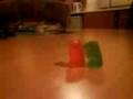 videos de Arian's Gummy Bears AGEN !