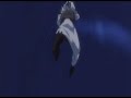 Rhapsody Ver.B GGXX#R Millia Combo Video