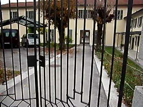 Immagine anteprima YouTube