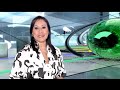 Olhar Digital - Profissões digitais: analista de sistemas