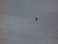 snowboard en bariloche