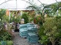albieri floricultura, jardinagem e paisagismo