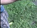 WORLD'S FIRST SOLAR POWERED FRISBEE FLYING DISC DISCOVERY