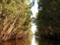 HANH TRINH TREN DAT PHU SA .wmv