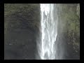 Tour Guide Presents: Akaka Falls, Big Island, Hawaii