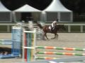 Pikachou du Fief 6ans A Lion d'Angers