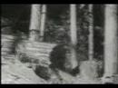 The Hidden Hand - \"The Last Tree\"