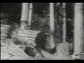 The Hidden Hand - "The Last Tree"
