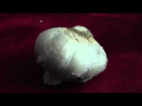 how to get rid garlic smell