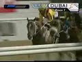 CURLIN - THE NEXT BIG RED