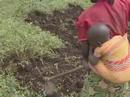 CICR Congo Kinshasa : la femme, un champ de bataille
