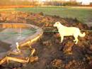 #8 Gunite process