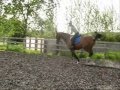 Grace Lidster and Luna Land Marque * Irrplaceable Part 2