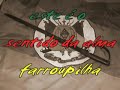 barra-bravas dos Pampas