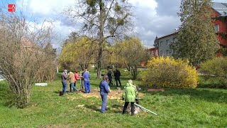 Učitelé ze SŠTZ Mohelnice sází stromy