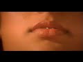 Search Video