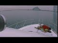 Search Video