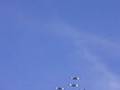 Esquadrilha-da-Fuma-