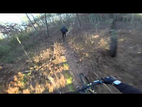 Downhill Area at Allaire State Park Mountain Bike Trails in New Jersey