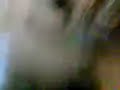 Lokas 3