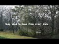Songwriter Demo Song Southern Country Blues for Artist Publishing