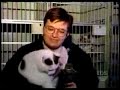 BOLUVIDEOS DAMIAN BOLUVIDEOS DAMIAN