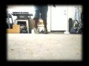 lets get it started :P [ i like shorts]