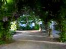 orianne a Osnabr�ck