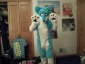 putting on the fursuit