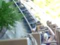Expedition Everest @ Walt Disney World