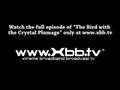 videos de Bird with the Crystal Plumage promo