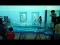 simulator tsunami